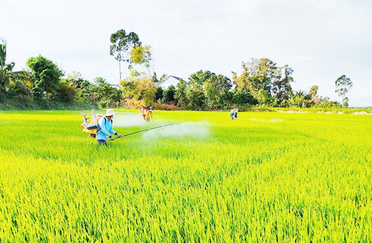 Thành công trong chuyển đổi nông nghiệp là động lực xây dựng nông thôn mới ở Tuyên Quang.