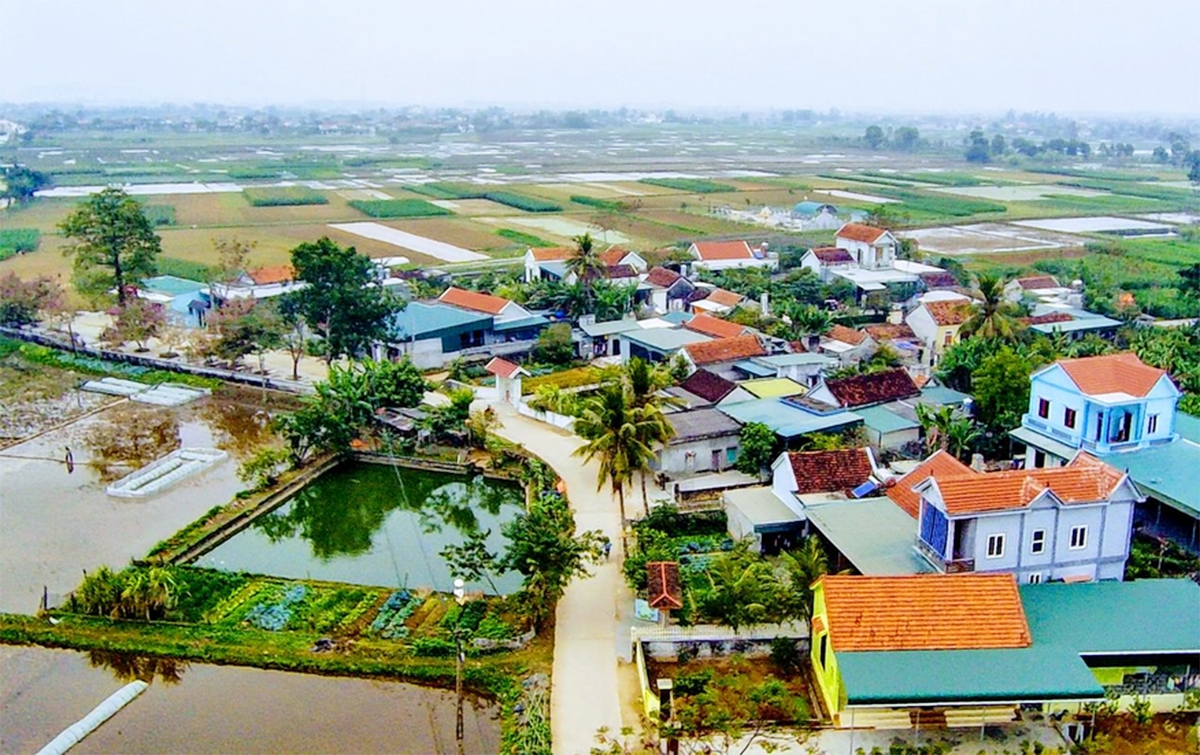 Thành công trong chuyển đổi cơ cấu nông nghiệp là nền tảng xây dựng nông thôn mới trên địa bàn Nghệ An.