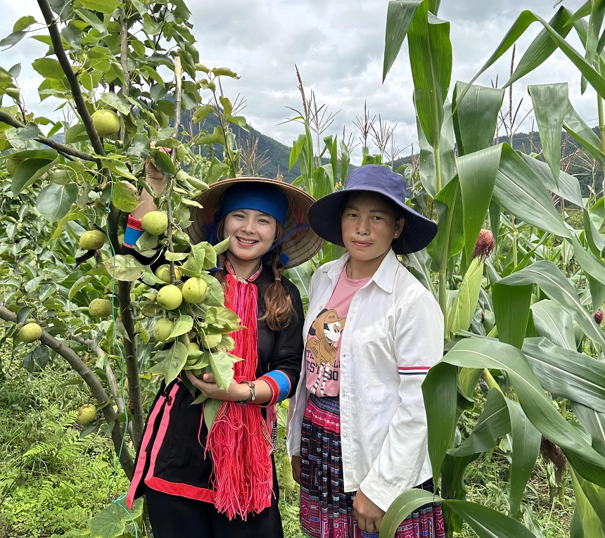 Gắn sản xuất nông nghiệp với phát triển du lịch và dịch vụ sẽ mang lại hiệu quả kinh tế cao.