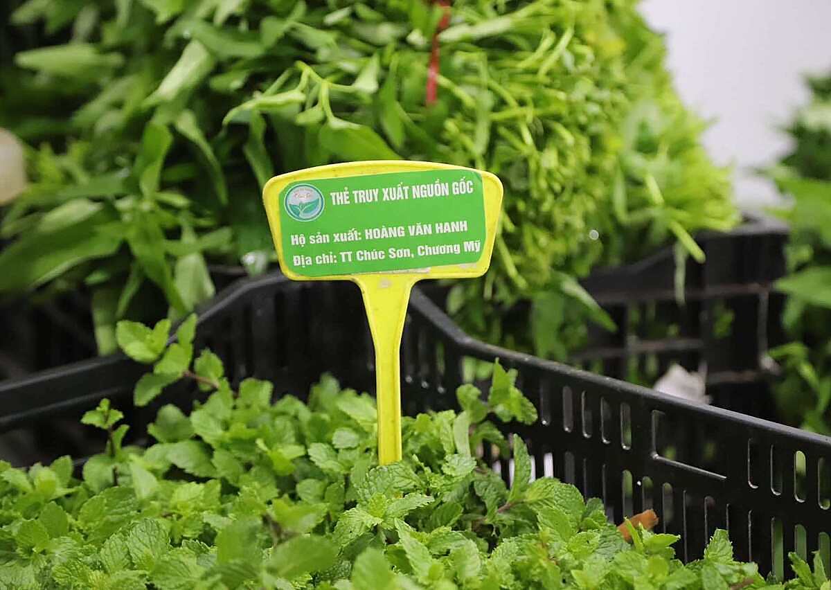 HTX Chúc Sơn đã thực hiện truy xuất nguồn gốc đến từng hộ sản xuất.