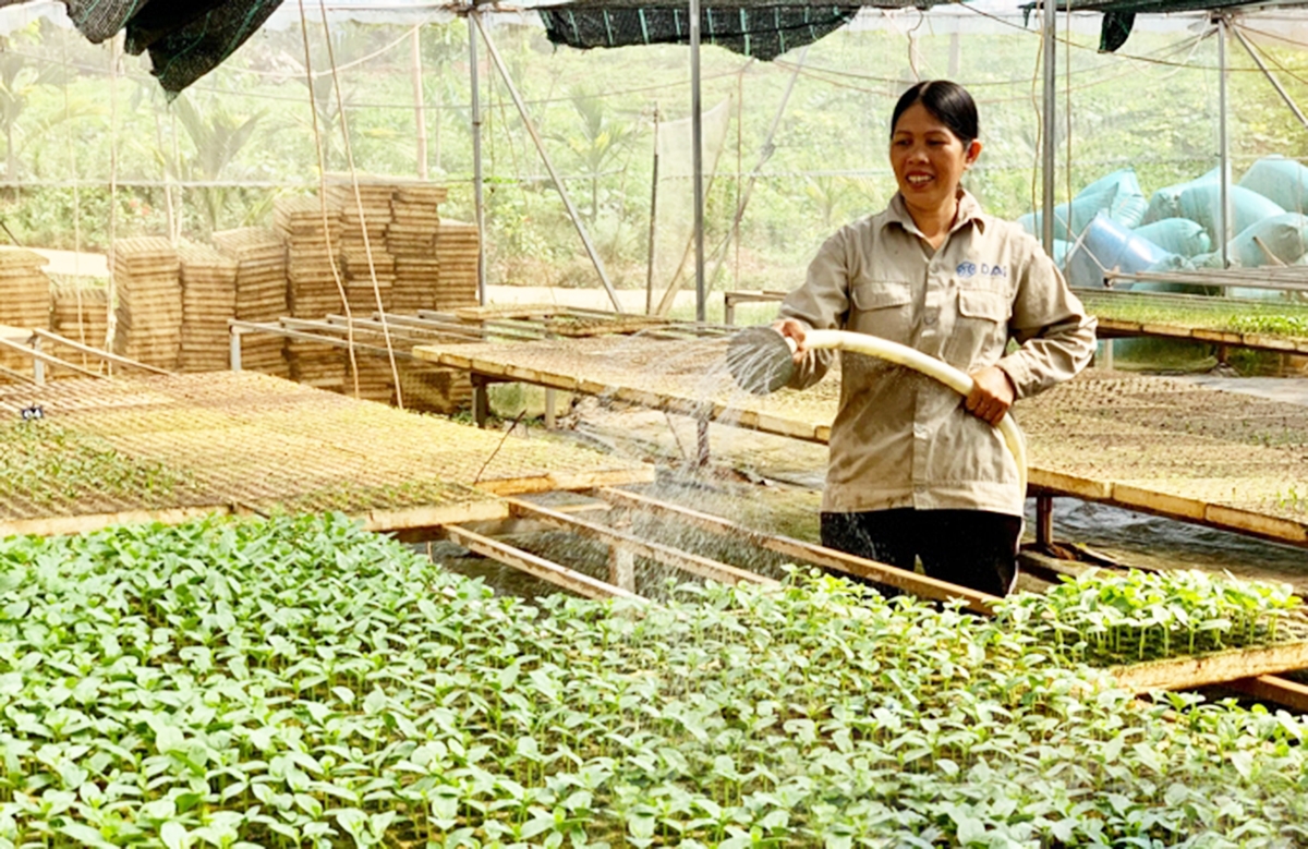 Các HTX đóng vai trò quan trọng trong chuyển đổi sản xuất nông nghiệp, xây dựng nông thôn mới ở Lạng Sơn.