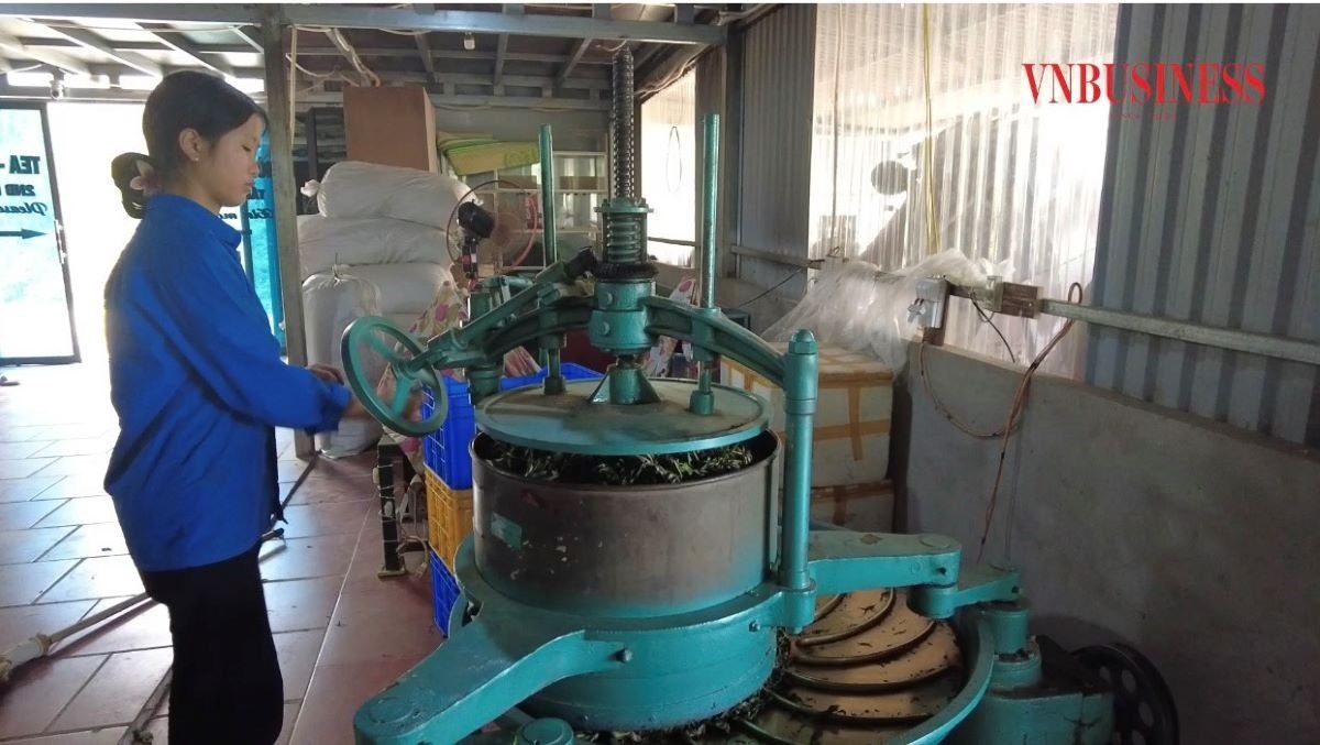 Các HTX trẻ gặp không ít khó khăn về vốn, thị trường, nguồn nhân lực.