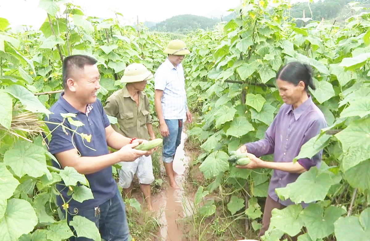 Bức tranh nông nghiệp, nông thôn ở nhiều địa phương tỉnh Lạng Sơn ngày càng khởi sắc.