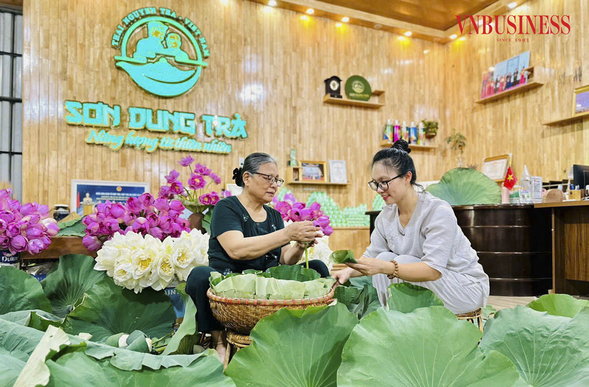 Chị Nguyễn Thị Như Trang- Giám đốc HTX Trà Sơn Dung là một điển hình tiêu biểu cho thế hệ trẻ làm HTX.