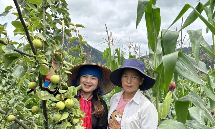 Sống khỏe nhờ kết hợp nông nghiệp sạch - du lịch xanh