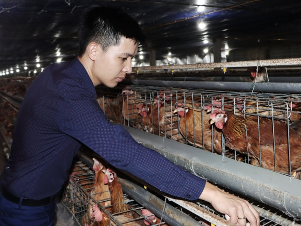 Nhờ tiêu chí an toàn, luôn đảm bảo tươi mới mỗi ngày nên sản phẩm trứng gà của HTX Như Gia được thị trường ưa chuộng.