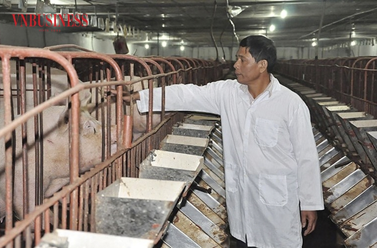 Nghị định 156/NĐ-CP sẽ tháo gỡ các điểm nghẽn về vốn cho các HTX trong thời gian tới.