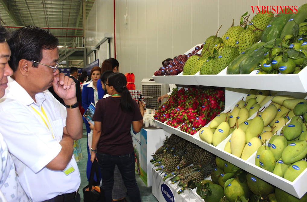 Hiệp hội Rau quả Việt Nam kiến nghị cần đàm phán chi tiết để đưa thuế cho các mặt hàng rau quả của Việt Nam vào Mỹ bằng 0%.