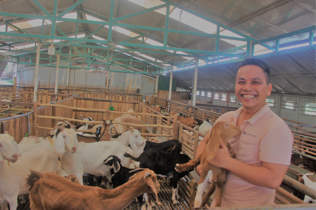 Dê là một trong những thế mạnh trong chăn nuôi ở một số địa phương tại Đồng Nai.