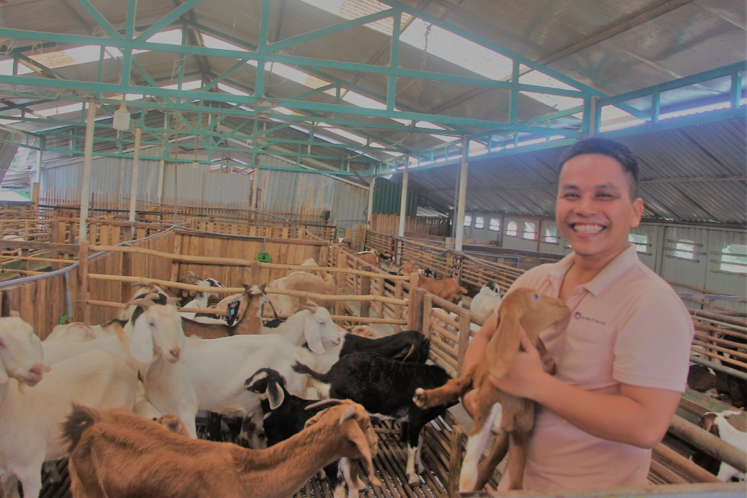 Dê là một trong những thế mạnh trong chăn nuôi ở một số địa phương tại Đồng Nai.