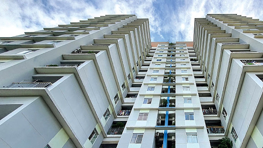 Mua bán chui noxh khiến thị trường méo mó?