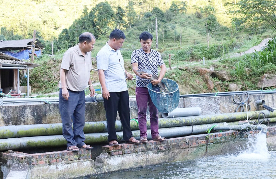Nhiều hộ nuôi cá tầm ở Tuyên Quang đang có thu nhập hàng tỷ đồng mỗi năm.