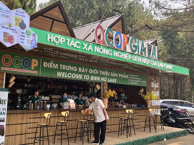 Liên minh HTX Việt Nam kết hợp Liên minh HTX tỉnh hỗ trợ xúc tiến nông sản Gia Lai vươn xa, góp sức nâng tầm nông thôn mới.