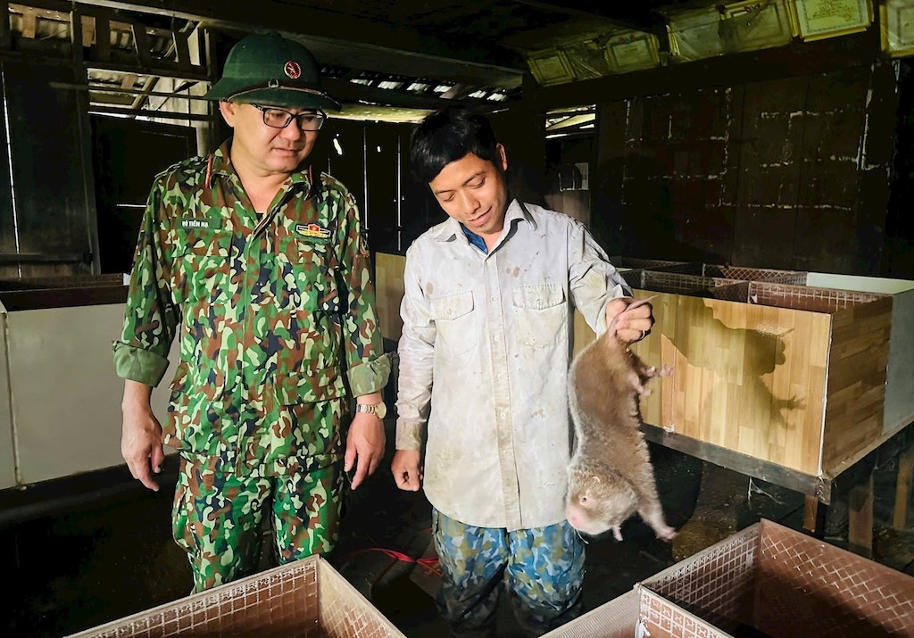 Bà con dân tộc thiểu số ở La Êê tự thoát nghèo bằng sinh kế tại chỗ như mô hình nuôi dúi.