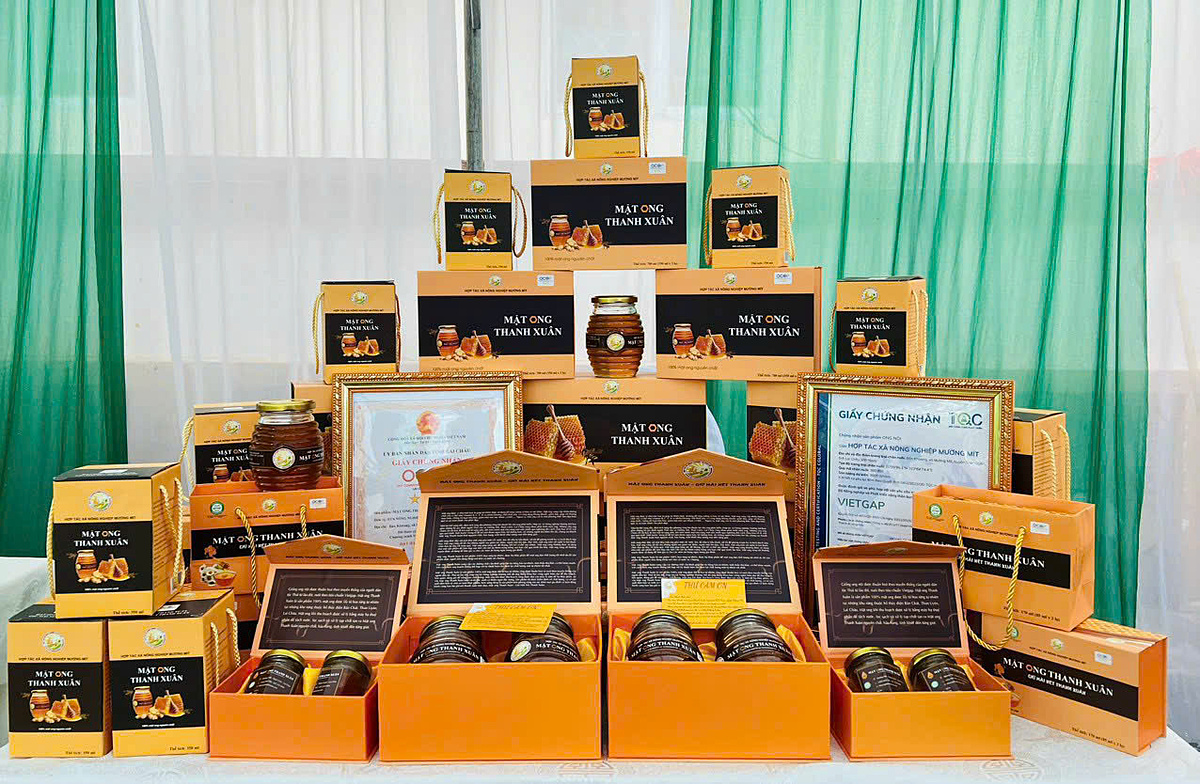 Sản phẩm mật ong mang thương hiệu “Thanh Xuân” của HTX Mường Mít từng bước tạo được uy tín trên thị trường.