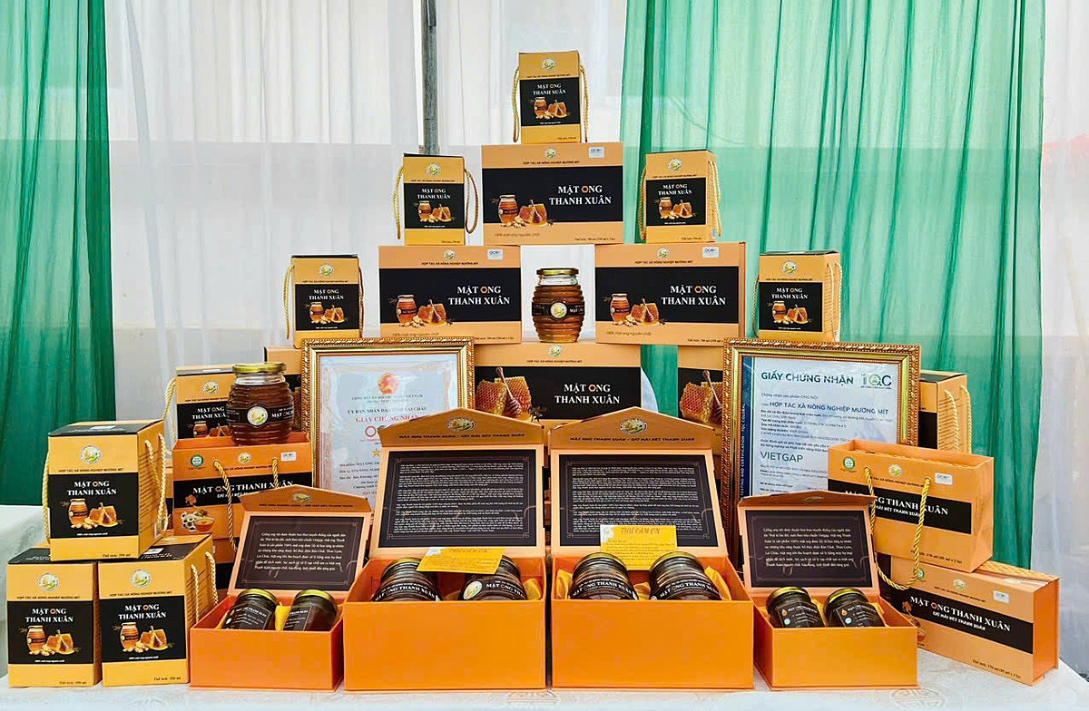 Sản phẩm mật ong mang thương hiệu “Thanh Xuân” của HTX Mường Mít từng bước tạo được uy tín trên thị trường.