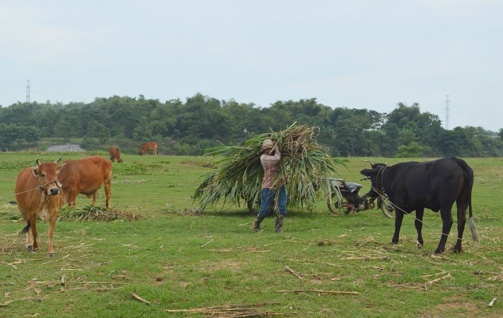 Người dân Trà Đốc từng bước thoát nghèo nhờ nỗ lực tạo dựng các mô hình hiệu quả trong sản xuất nông nghiệp.