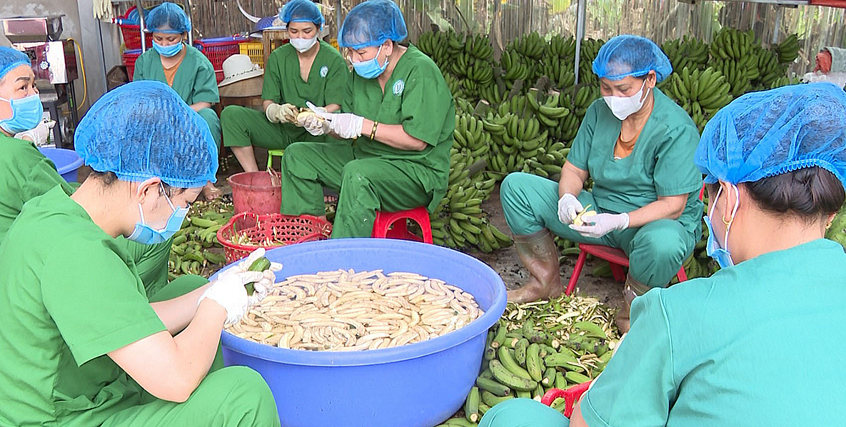 Chế biến sâu giúp nâng cao giá trị cho chuối tiêu.