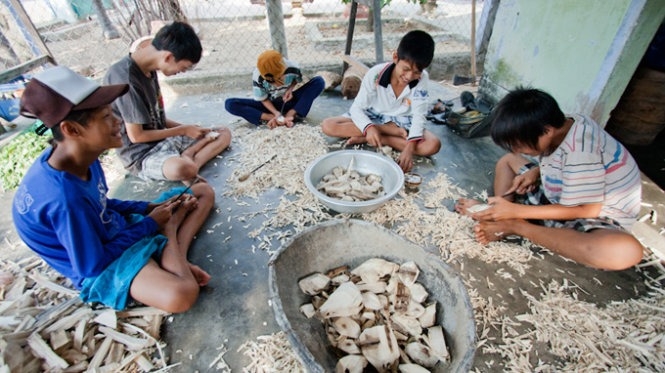 Làng nghề trầm hương đã tạo công ăn việc làm cho nhiều lao động ở mọi lứa tuổi.