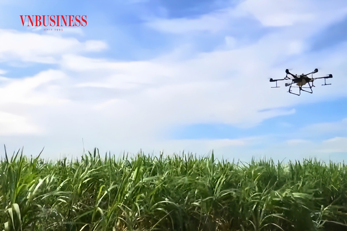 Máy bay UAV hỗ trợ sản xuất nông nghiệp trên địa bàn tỉnh.