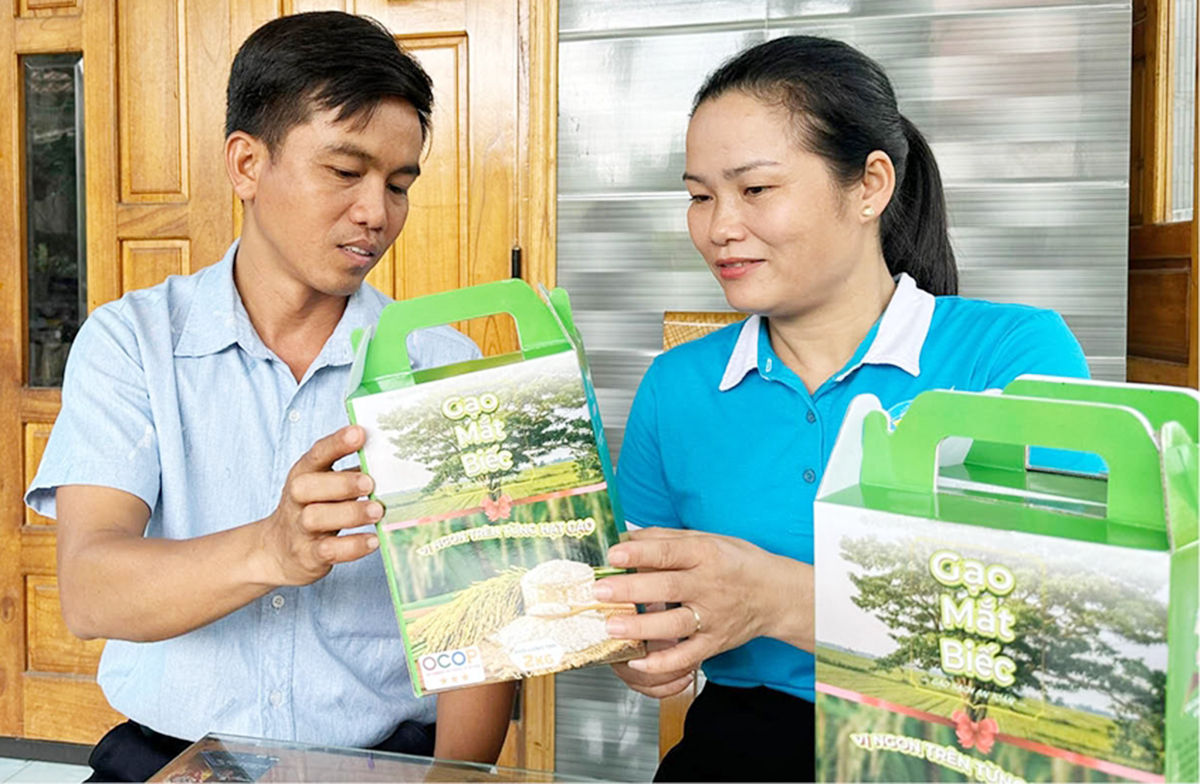 Hiệu quả của các HTX đang thúc đẩy kinh tế nông nghiệp ở Huế, làm giàu cho người dân.