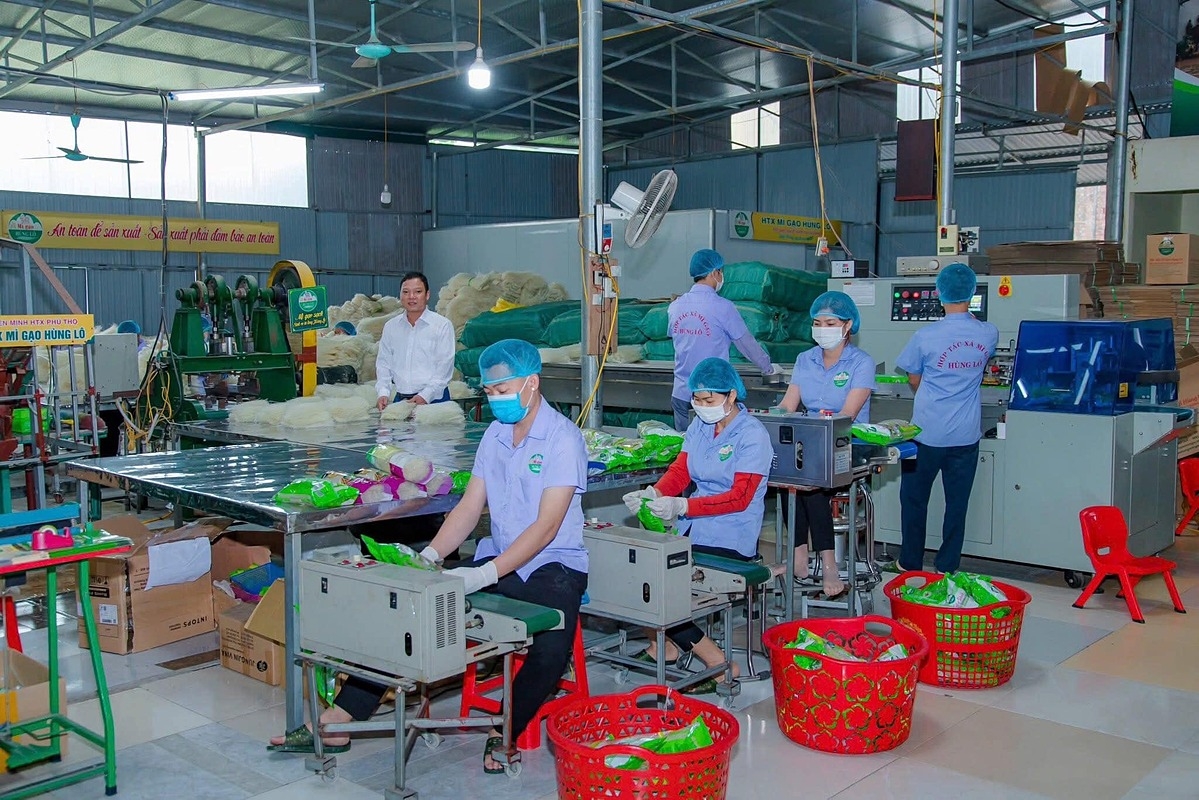 HTX tạo việc làm thường xuyên và thu nhập ổn định cho nhiều lao động.