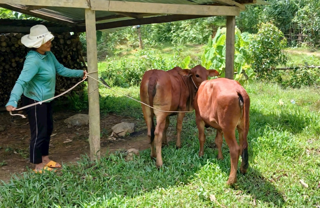 Xã Đắc Pring tiếp tục thúc đẩy phát triển mạnh mẽ kinh tế tập thể nhằm góp phần nâng cao thu nhập, đời sống cho đồng bào dân tộc thiểu số.