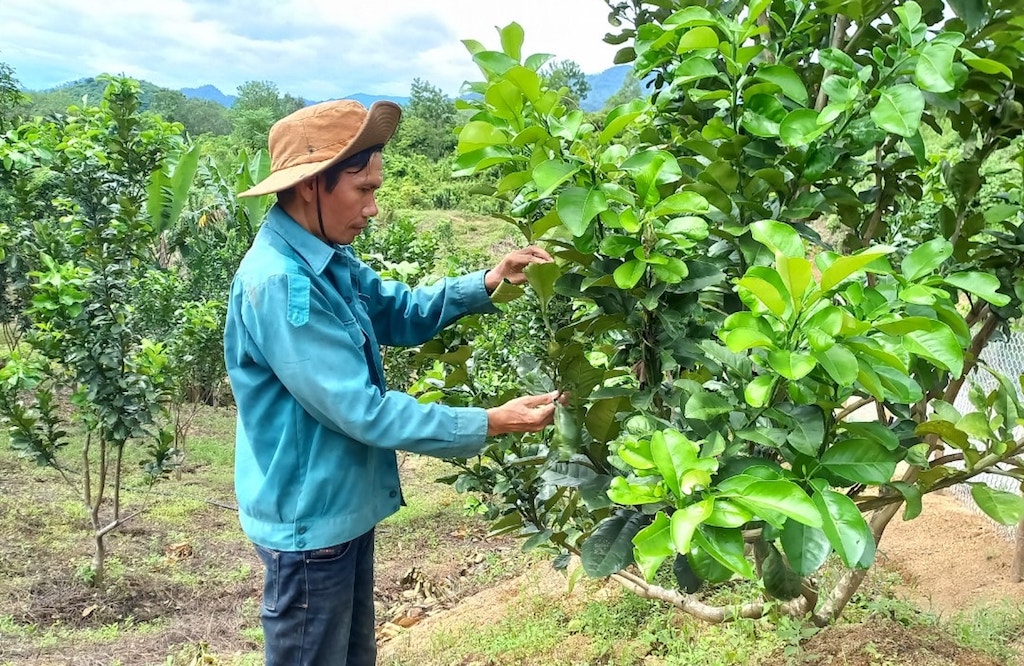 Đồng bào dân tộc thiểu số ở Đắc Pring thoát nghèo từ những mô hình sinh kế bền vững.