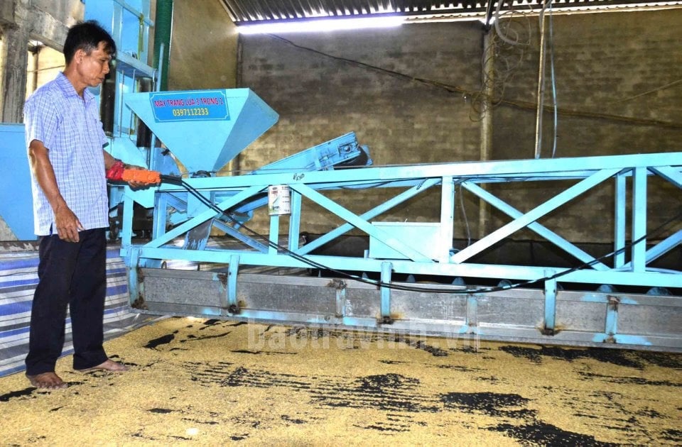 Ông Trần Văn Chung, Giám đốc HTX nông nghiệp Phát Tài bên máy trang lúa “3 trong 1”.