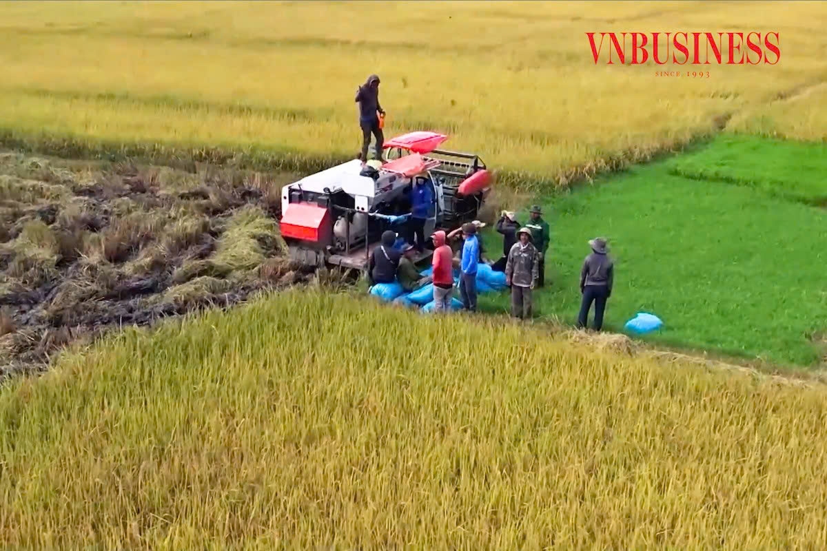 HTX tạo việc làm, nâng cao thu nhập cho người dân.