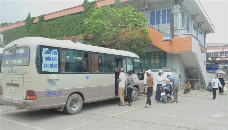 Nhiều HTX đang hoạt động hiệu quả, đáp ứng nhu cầu thị trường.