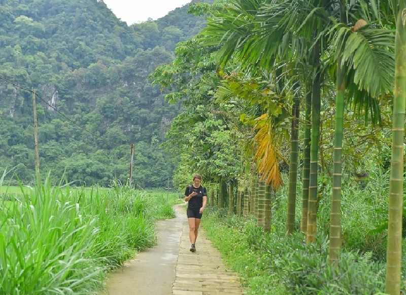 Nhờ kết hợp nông nghiệp và dịch vụ du lịch, các thành viên HTX và tổ hợp tác tại các xã miền núi Thanh Hóa có thêm thu nhập, nông sản và đặc sản địa phương cũng được tiêu thụ ổn định.