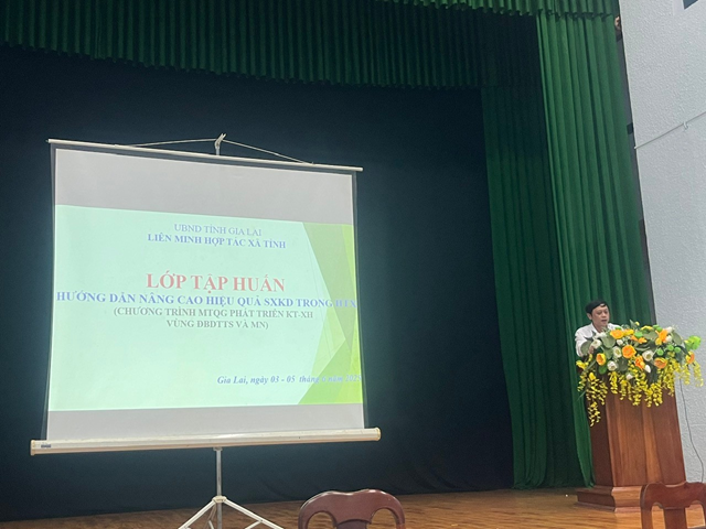 Các Lớp tập huấn về chuyển đổi số liên tục được Liên minh HTX tỉnh phối hợp với các đơn vị thuộc Liên minh HTX Việt Nam tổ chức.