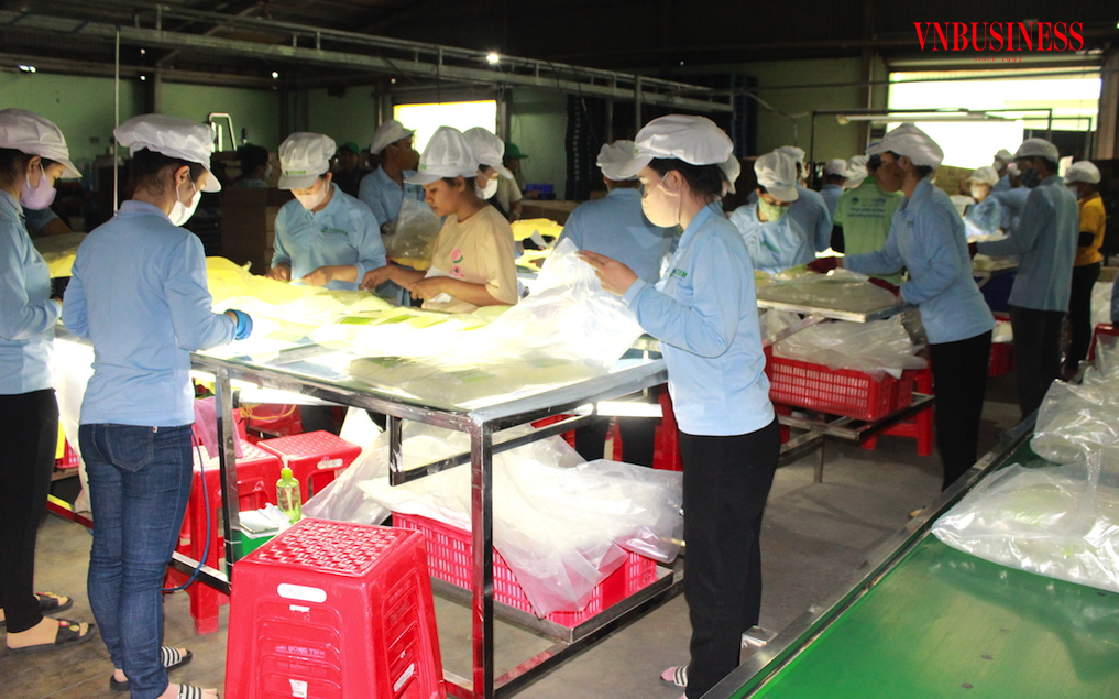 Cần sớm tháo gỡ vướng mắc trong chính sách mới về hoàn thuế, thuế suất Giá trị gia tăng để các DN xuất khẩu nông sản giảm thiểu khó khăn về dòng tiền.