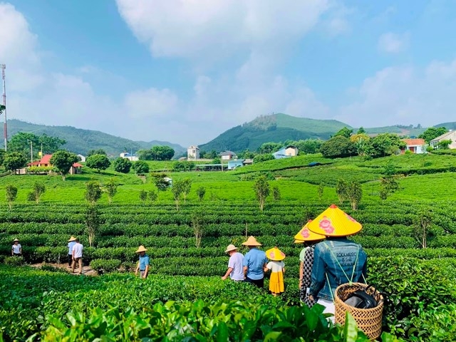 Thái Nguyên có nhiều tiềm năng phát triển du lịch cộng đồng.