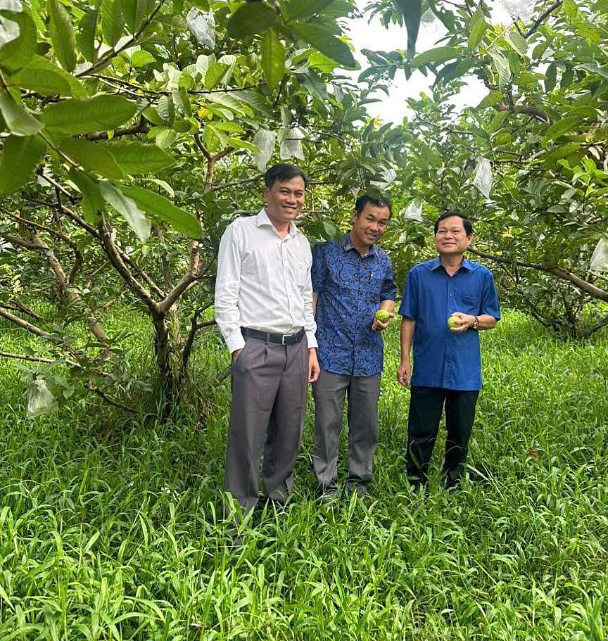 Chủ tịch Liên minh HTX tỉnh Đồng Nai Đỗ Phước Dũng &lpar;ngoài cùng bên phải&rpar; thăm HTX Phước Thiện.