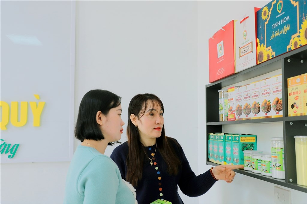 Hợp tác xã Dược liệu Phủ Quỳ nỗ lực liên kết hỗ trợ những hộ dân sản xuất dược liệu tại địa phương tiêu thụ sản phẩm, đẩy mạnh mở rộng thị trường đầu ra.