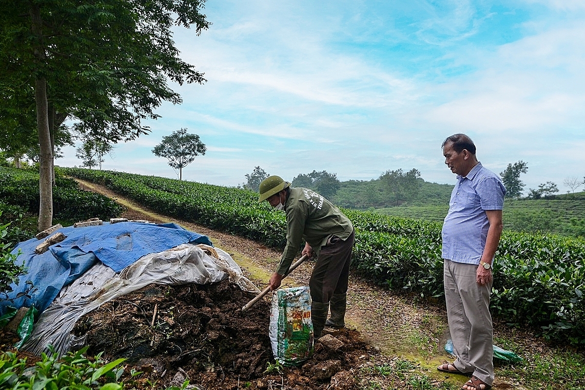 Ủ rác thành phân hữu cơ giúp nâng cao hiệu quả kinh tế.
