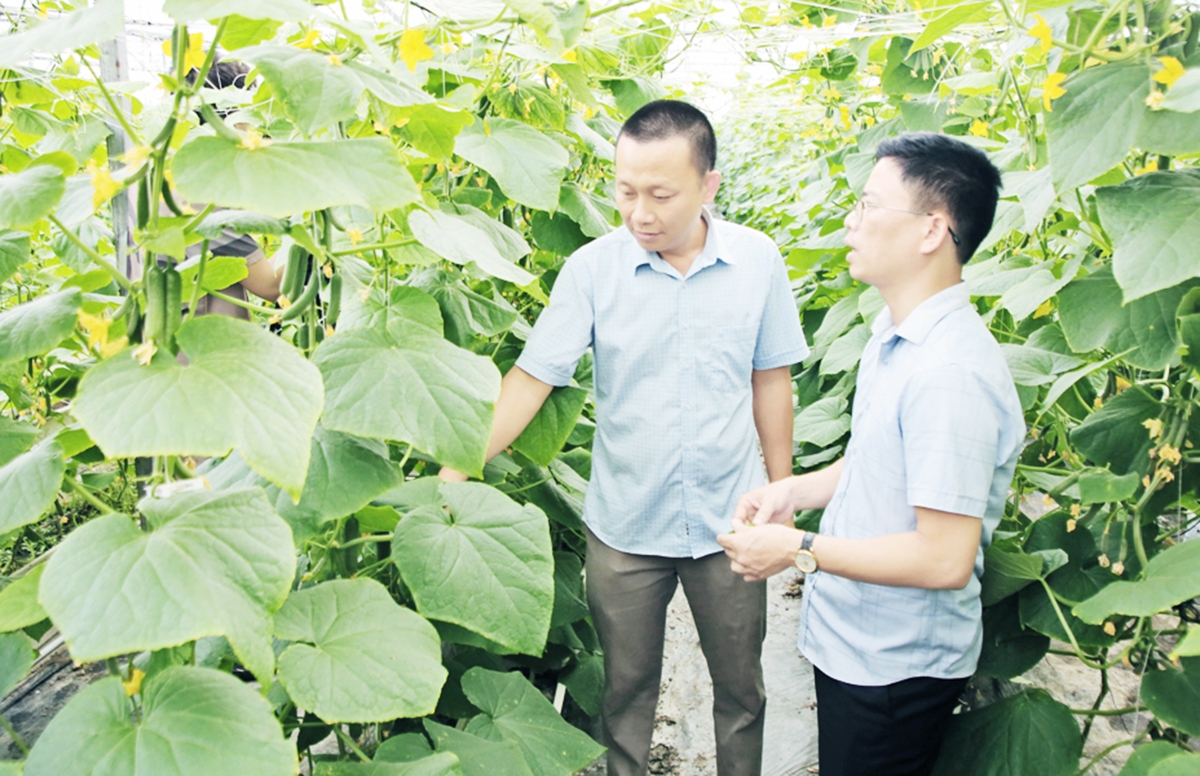 Quá trình xóa đói giảm nghèo ở Bắc Ninh có dấu ấn không nhỏ của các HTX &lpar;Ảnh: BBN&rpar;.