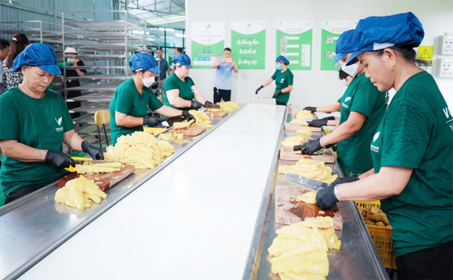 Nhiều loại nông sản đang giúp nông dân, HTX ở Thái Nguyên làm giàu.