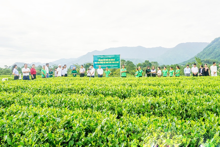 Chuyển đổi sản xuất theo hướng hiện đại, thích ứng thị trường giúp nông dân, HTX ở Thái Nguyên tăng thu nhập.