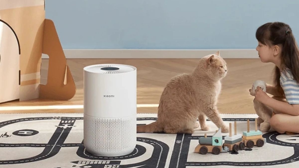 Máy lọc không khí đang là thiết bị nhiều gia đình sử dụng.