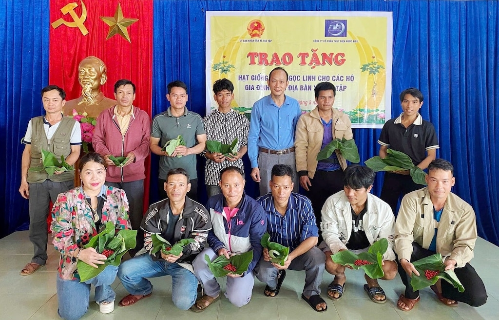 Các hộ dân nghèo ở xã Trà Tập được trao tặng hạt giống sâm Ngọc Linh.