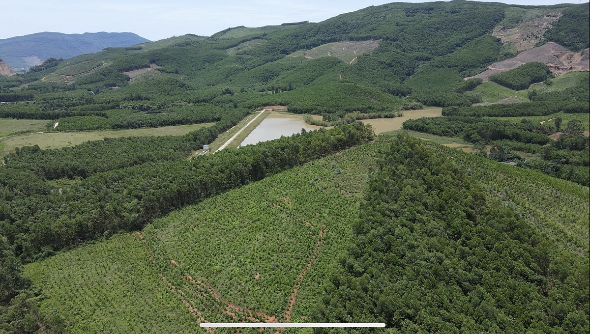 Khu rừng của người nông dân Việt Nam đã đưa lại những nguồn lợi đầu tiên khi xuất khẩu carbon ra thị trường.