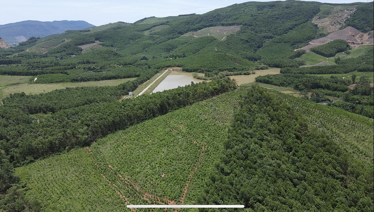 Khu rừng của người nông dân Việt Nam đã đưa lại những nguồn lợi đầu tiên khi xuất khẩu carbon ra thị trường.