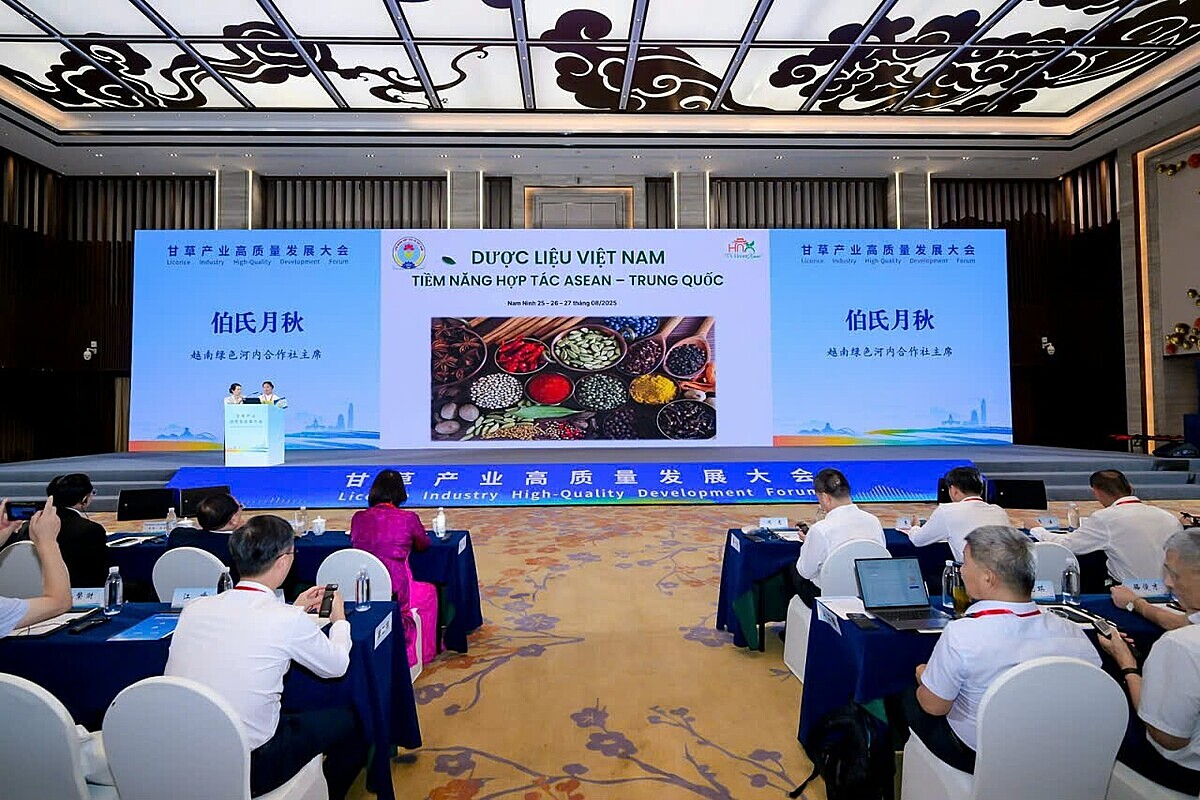 Việt Nam hiện có khoảng 5.000 loài cây thuốc, trong đó 500 loài đã và đang được sử dụng rộng rãi trong y học và công nghiệp.