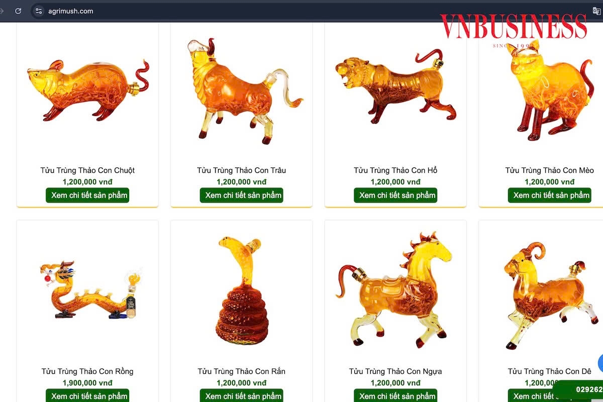 HTX đổi mới trong tư duy làm thương hiệu qua phát triển bao bì nhãn mác.