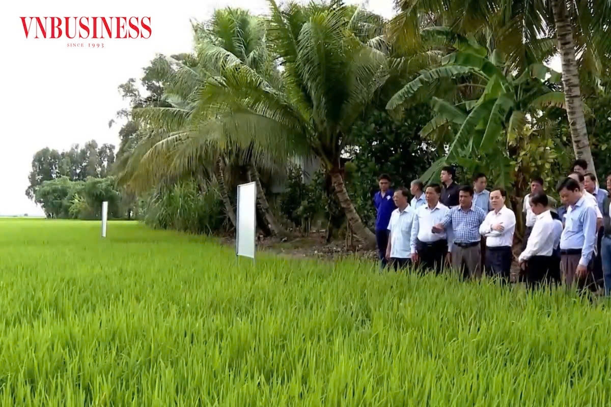 Hệ thống chính quyền cùng Liên minh HTX “cầm tay chỉ việc” cho HTX trong công cuộc đổi mới diện mạo nông thôn.