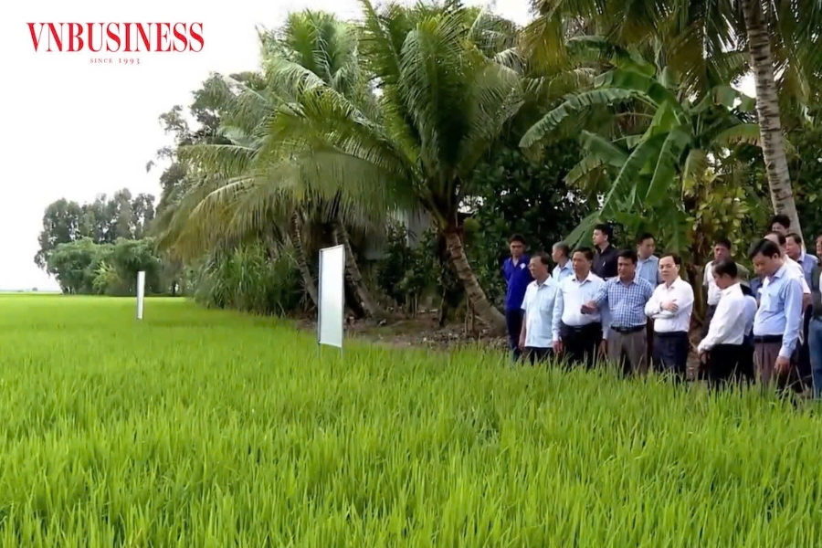 Hệ thống chính quyền cùng Liên minh HTX “cầm tay chỉ việc” cho HTX trong công cuộc đổi mới diện mạo nông thôn.