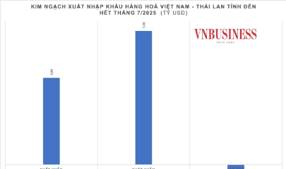 VnBusiness